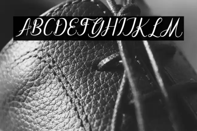 dahliaScript-Italic Font examples