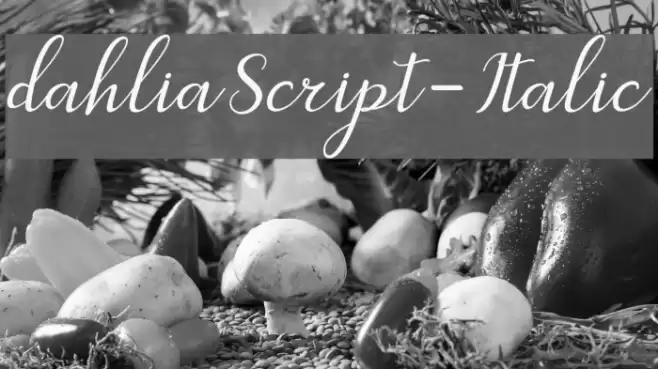 dahliaScript-Italic Font examples