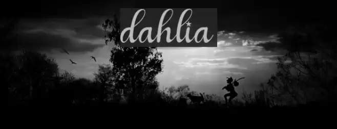 dahlia Font examples