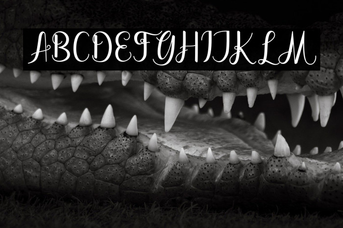 dahliascript Example 1