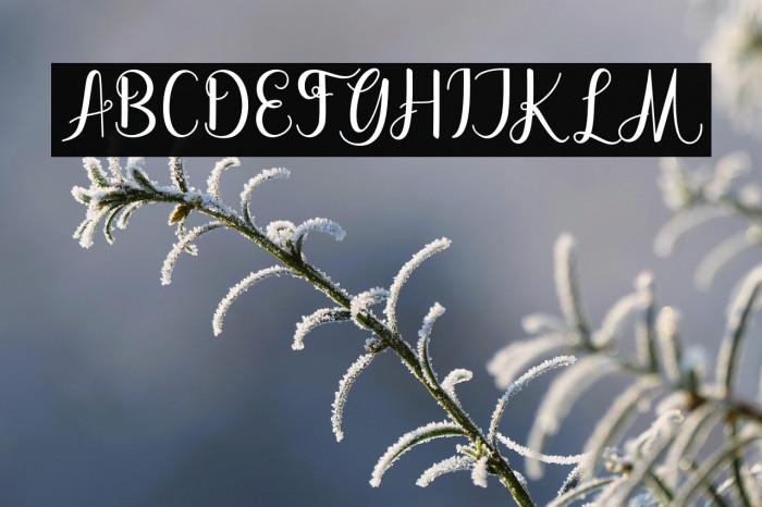 dahliascript Example 2