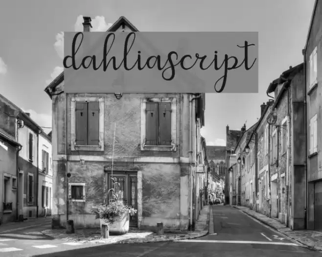 dahliascript Font examples