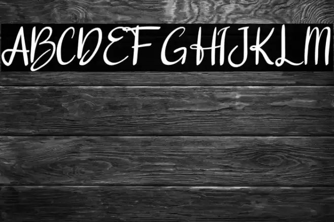 dalena Font examples