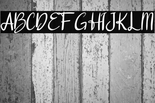 dalena Font examples