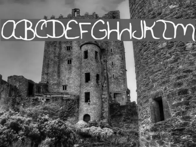 danas font Font examples