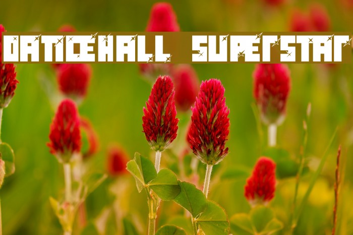 dancehall superstar Font examples