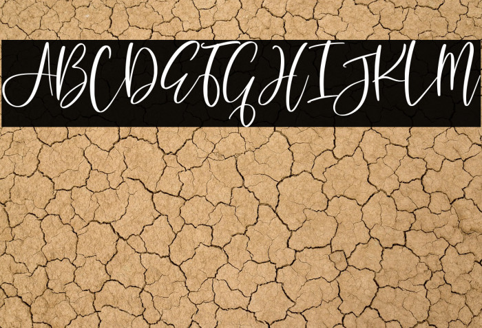 dancing moon script Example 3