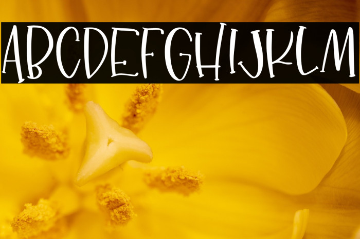 dancingmoonslab Example 1