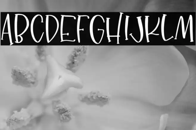 dancingmoonslab Example 1