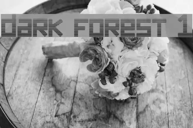 dark forest 1 Example 1