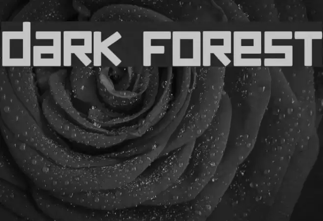dark forest Font examples