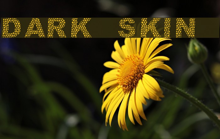 dark skin Font examples