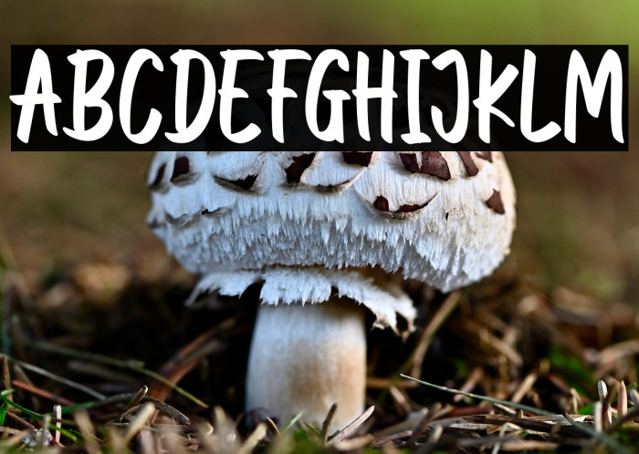 darkglitterFREE Example 3