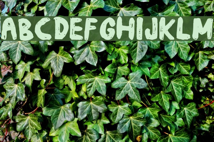 daub Font examples