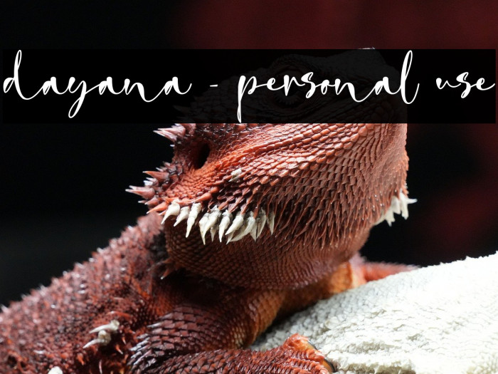 dayana - personal use Example 2