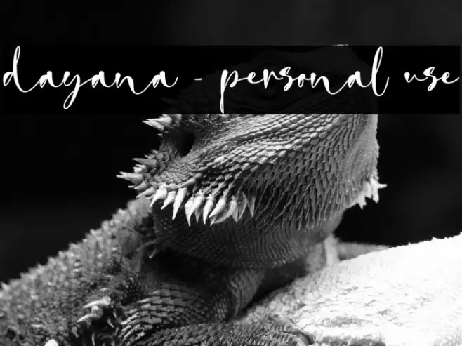 dayana - personal use Example 2
