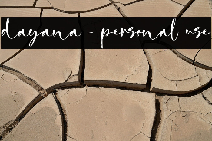 dayana - personal use Example 3