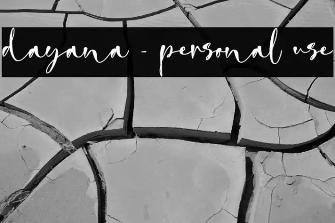dayana - personal use Example 3