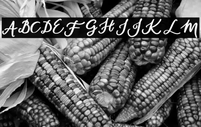 daylight-Regular Font examples