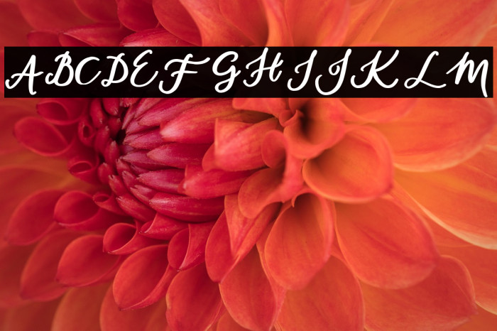 daylight-Regular Example 2