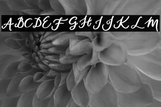 daylight-Regular Font examples