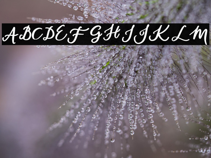 daylight-Regular Example 3