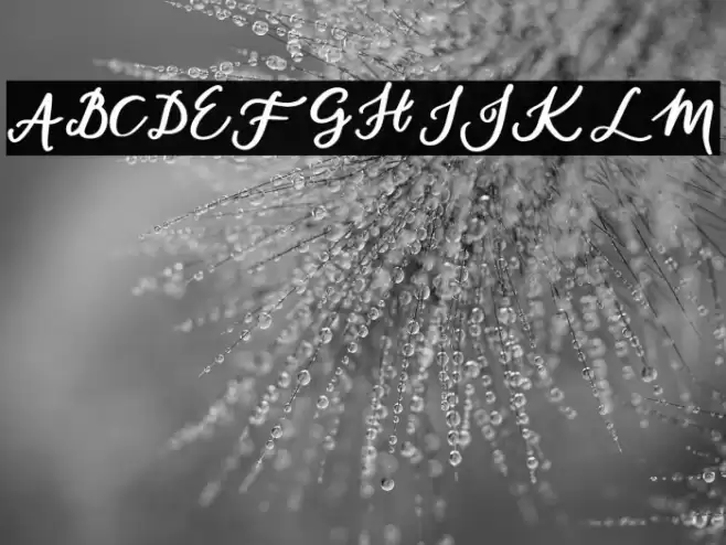 daylight-Regular Font examples