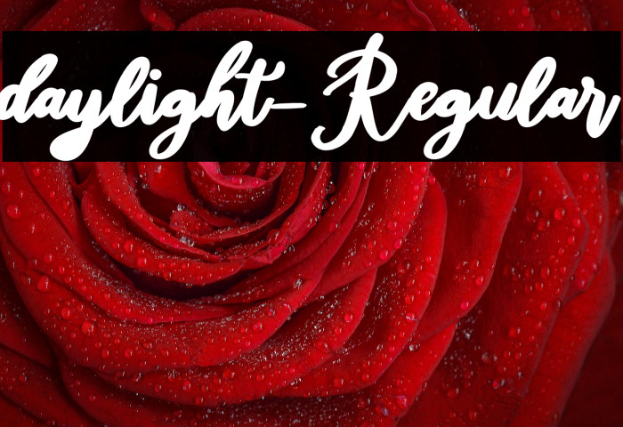 daylight-Regular Example 1