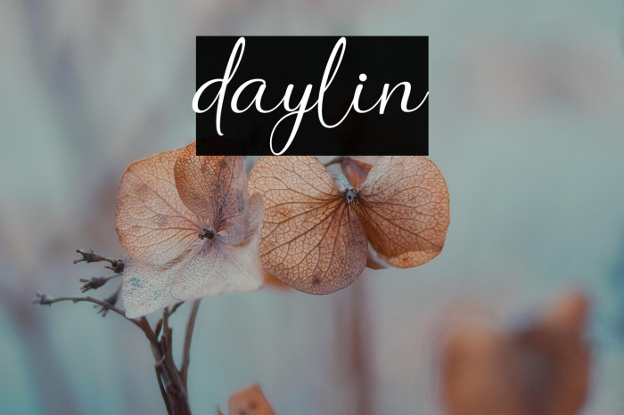daylin Example 3