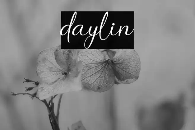 daylin Font examples