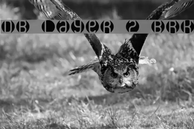 DB Layer 2 BRK Caratteri examples