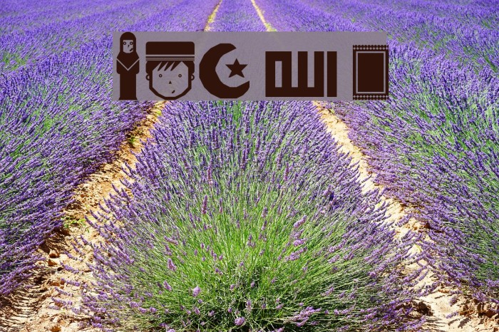 DBA Muslim Regular Example 2