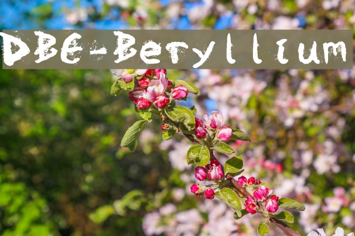 DBE-Beryllium Polices examples