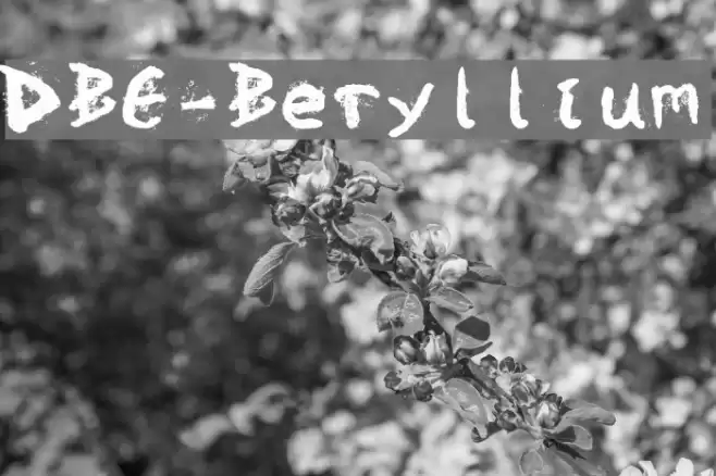 DBE-Beryllium Polices examples
