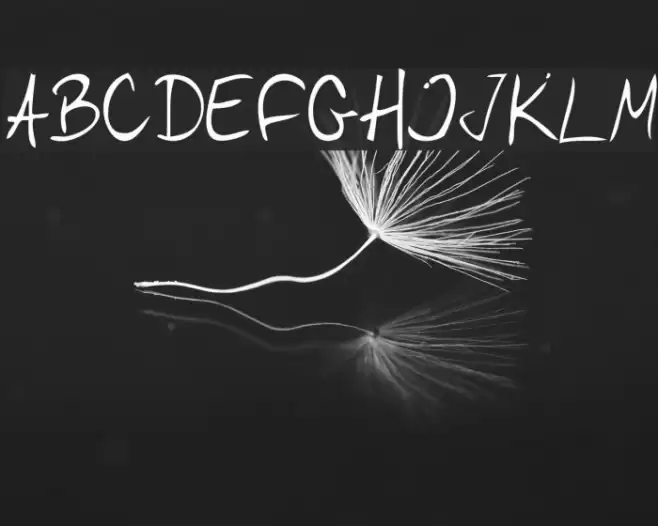 DBE-Canopus Schriftart examples