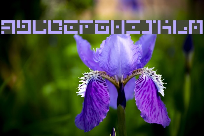 DBE-Hydrogen Font examples