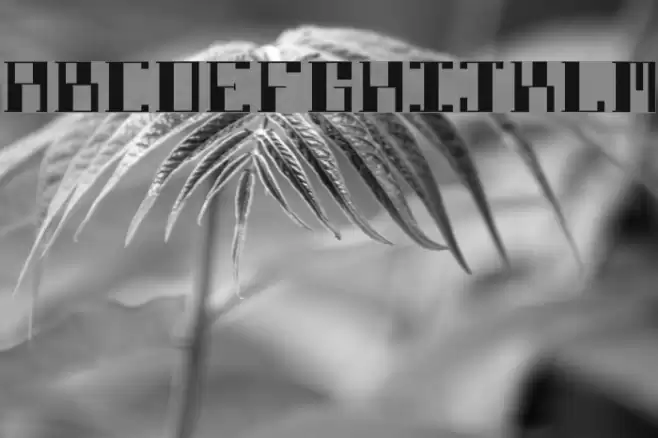 DBE-Lithium Шрифта examples