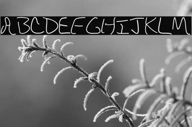 DBE-Rigel Fuentes examples