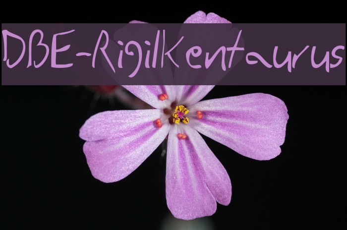 DBE-RigilKentaurus Font examples