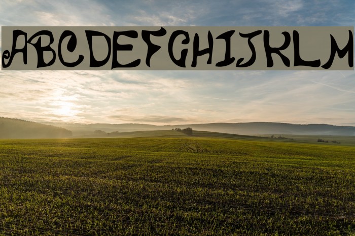 DBE-Vega Font examples