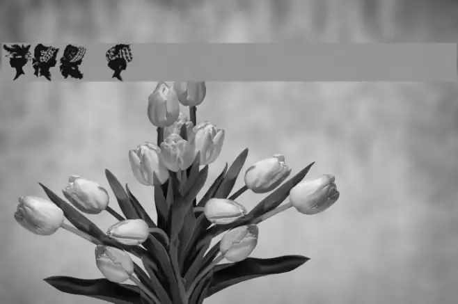 DBL Faces from the past Font examples