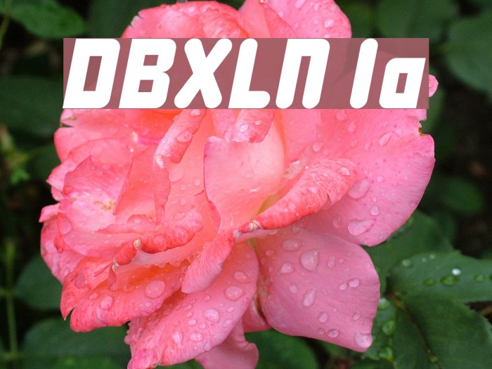 DBXLNightfever Italic Font examples