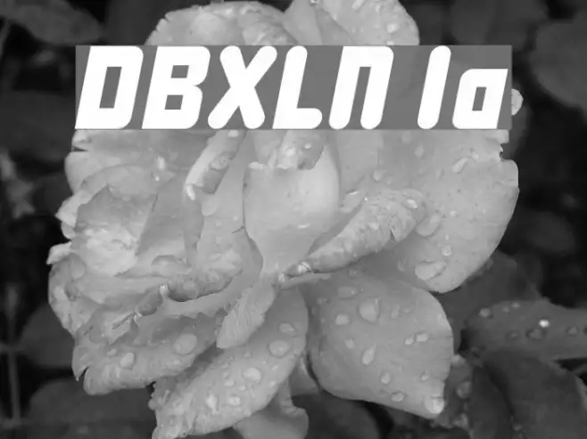 DBXLNightfever Italic Example 2