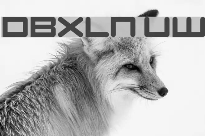 DBXLNightfever UltraWide Font examples