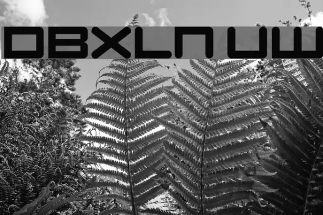 DBXLNightfever UltraWide Font examples