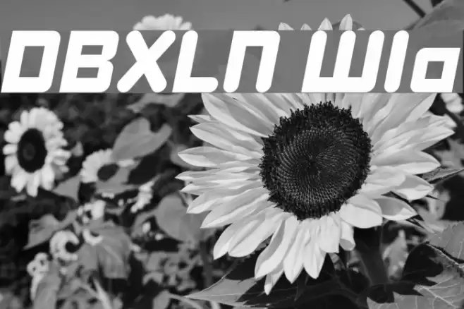 DBXLNightfever WideItalic Font examples