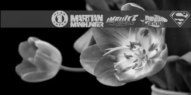 DC Comics Font examples