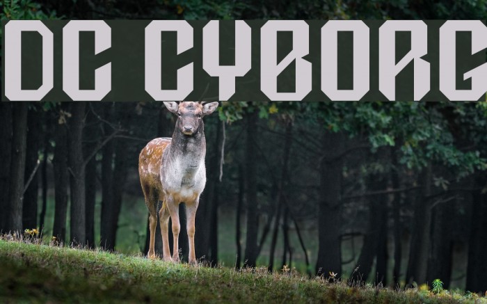 DC Cyborg Font examples