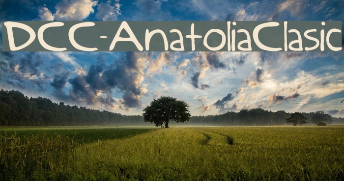 DCC-AnatoliaClasic Font examples