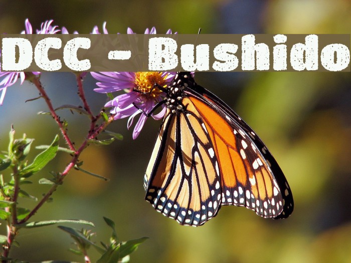 DCC - Bushido Font examples